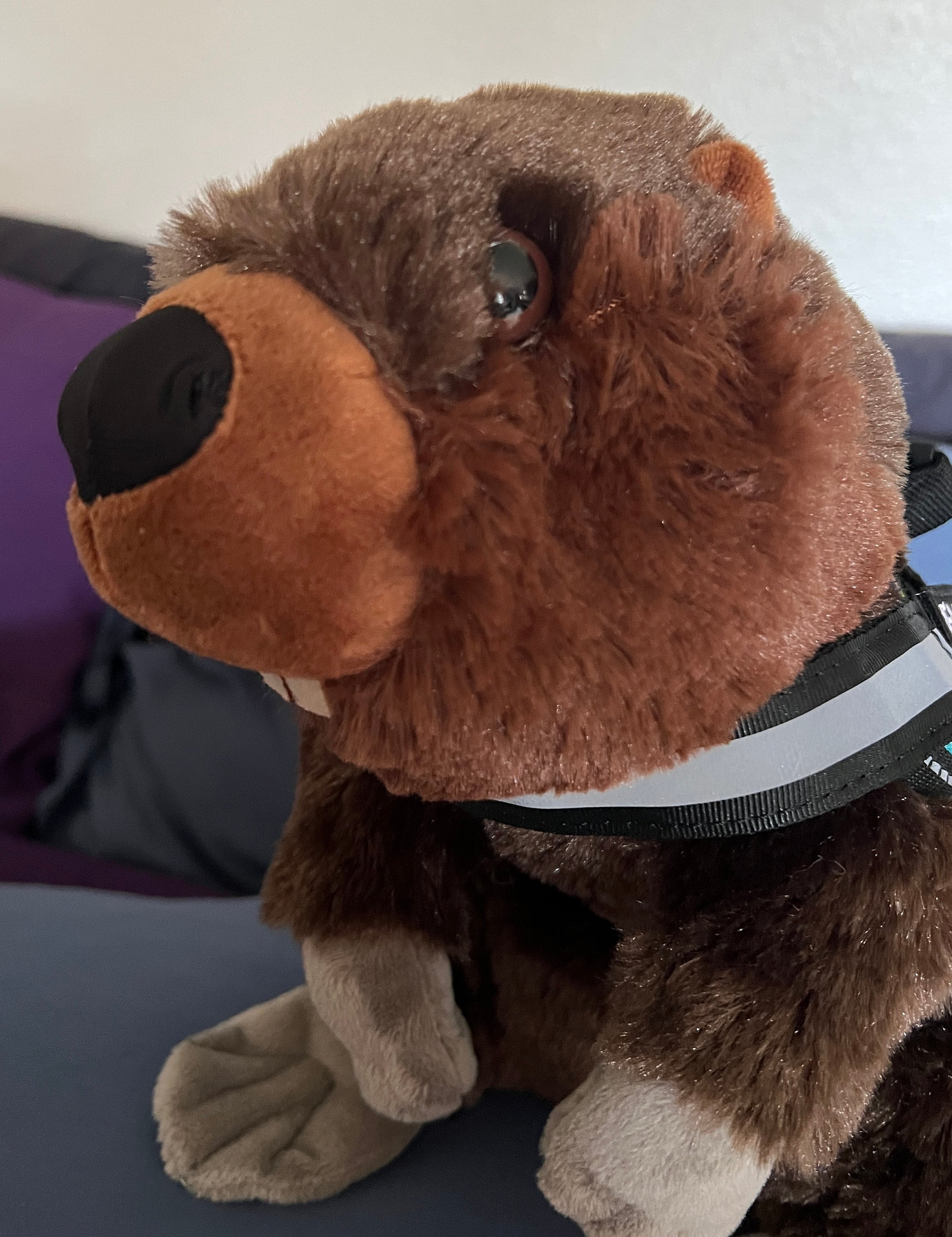 Emotional Support Harness With Handle Stuffed Animal Plush Personalized  Full Gear Set Up 