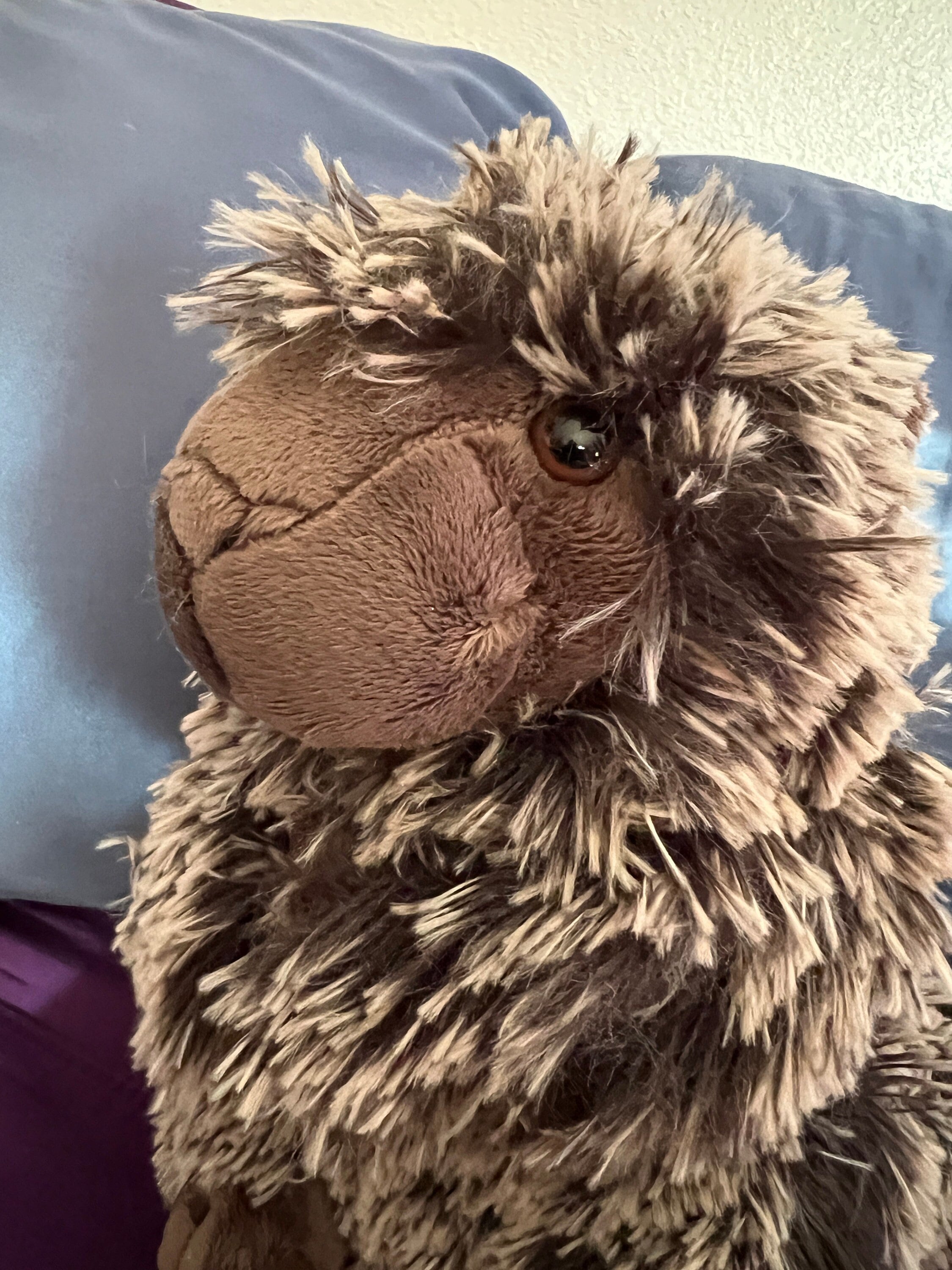 Emotional Support Armadillo Plush Stuffed Animal Personalized Gift Toy 