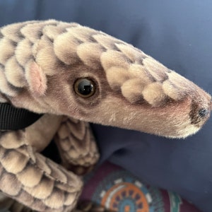 Emotional Support Pangolin Plush Stuffed Animal Personalized Gift Toy