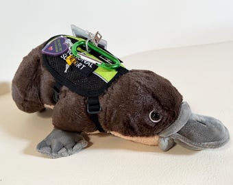 ESSA カモノハシ 感情サポート ぬいぐるみ パーソナライズギフト