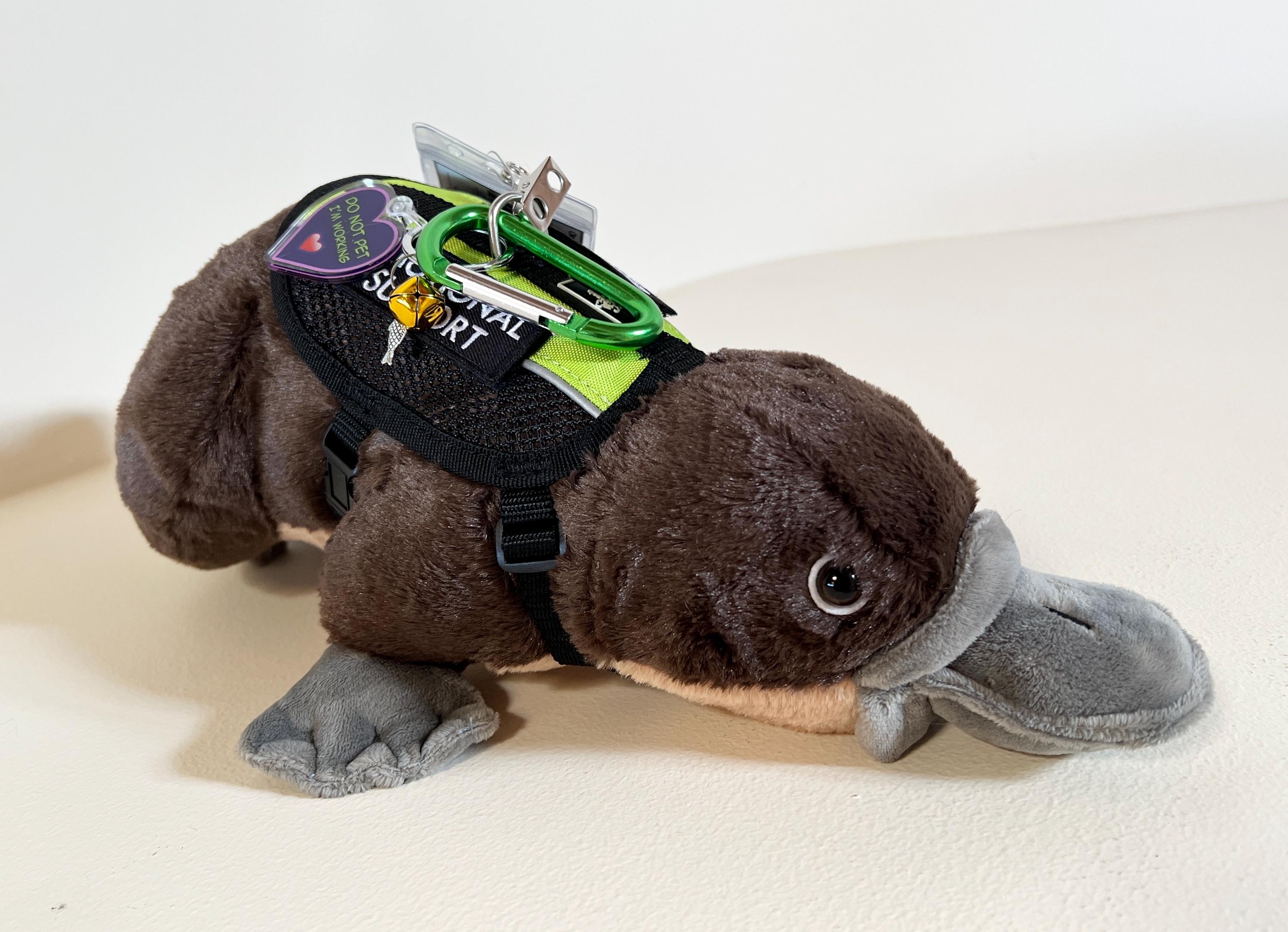 ESSA カモノハシ 感情サポート ぬいぐるみ パーソナライズギフト