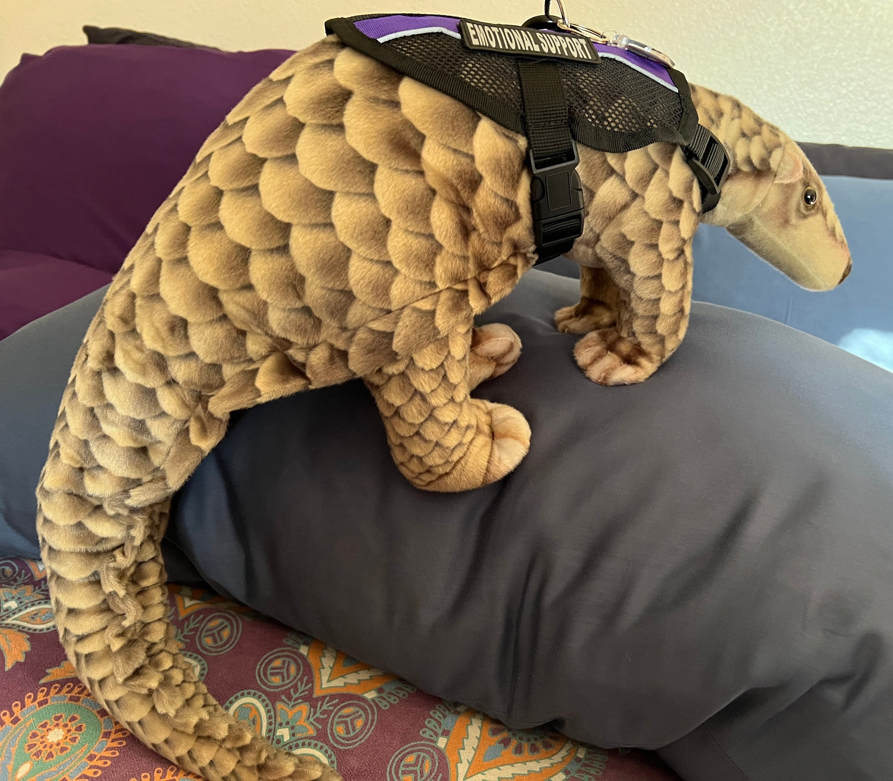 Emotional Support Armadillo Stuffed Animal Toy 