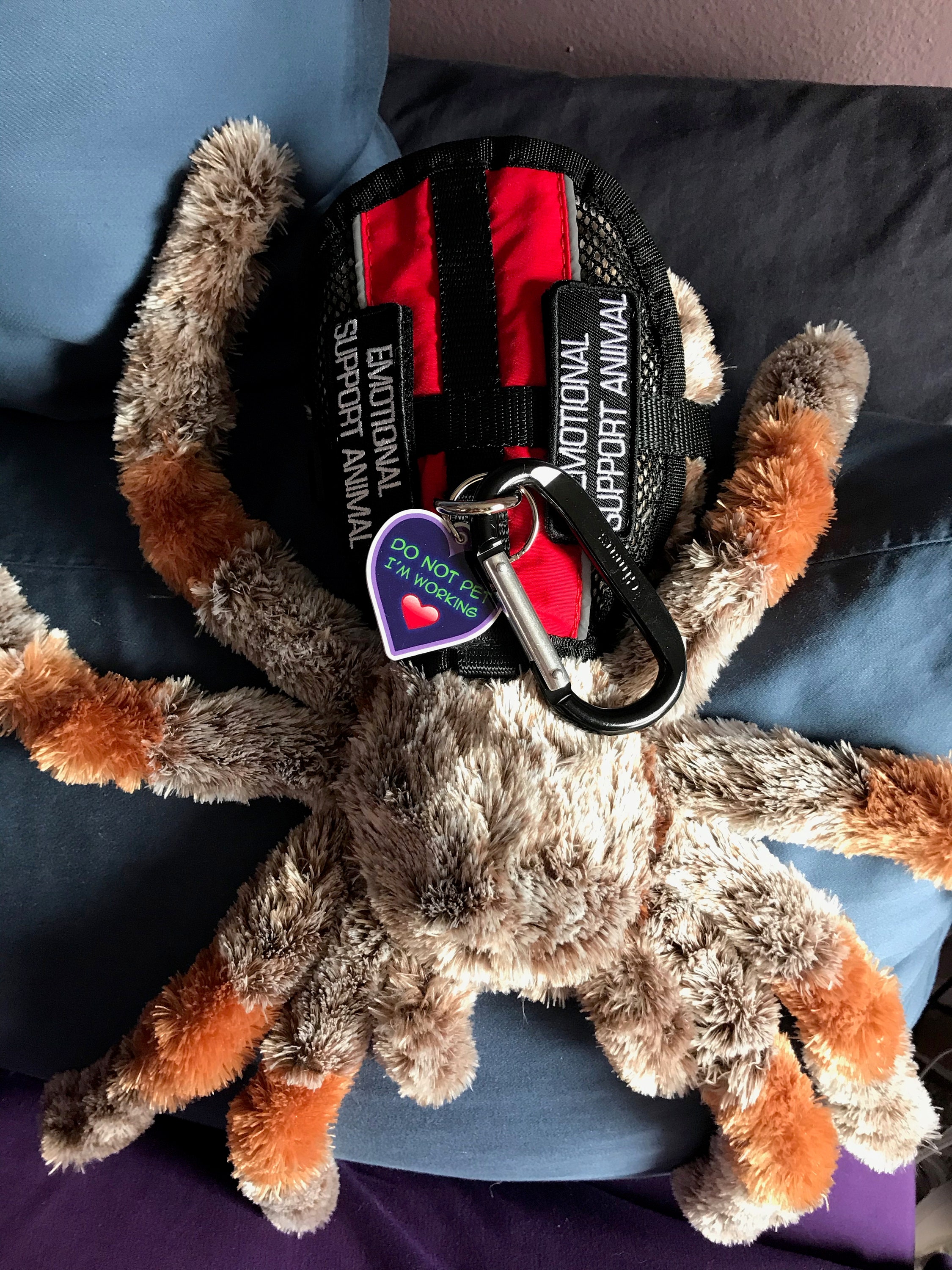 Emotional Support Tarantula Spider Arachnid Plush Stuffed Animal  Personalized Gift Toy 