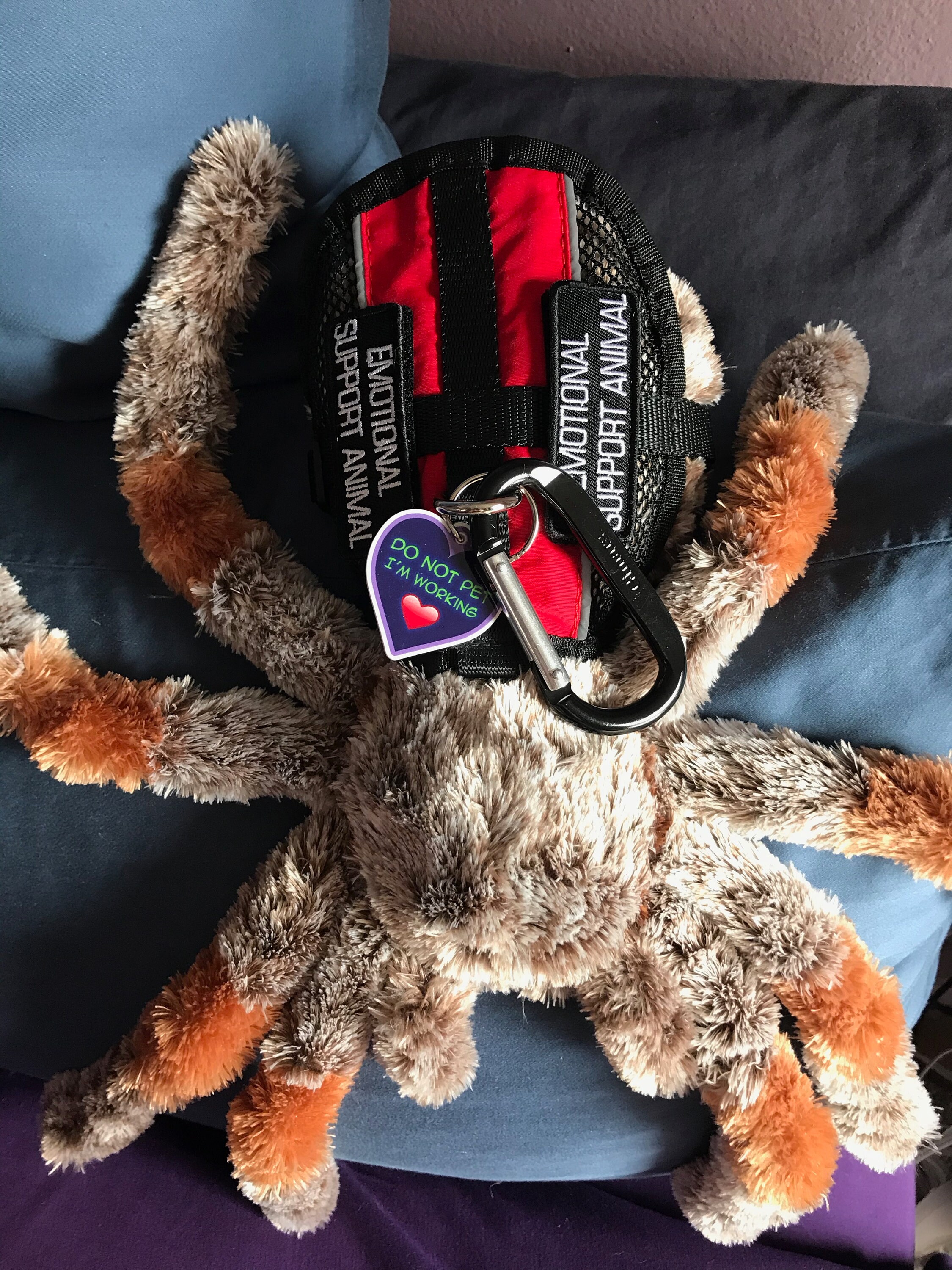 Emotional Support Tarantula Spider Arachnid Plush Stuffed Animal