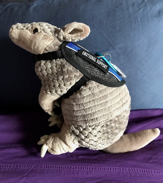 Emotional Support Armadillo Plush Stuffed Animal Personalized Gift