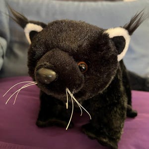 WWF Binturong ビントロング 58cm ぬいぐるみ 本体 WWF Binturong ビントロング 58cm ぬいぐるみ 本体 - メルカリ