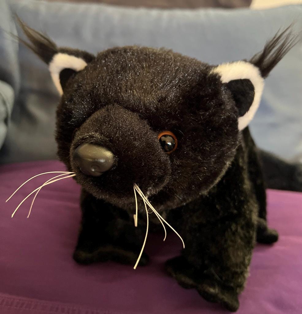 Binturong toy - Etsy 日本