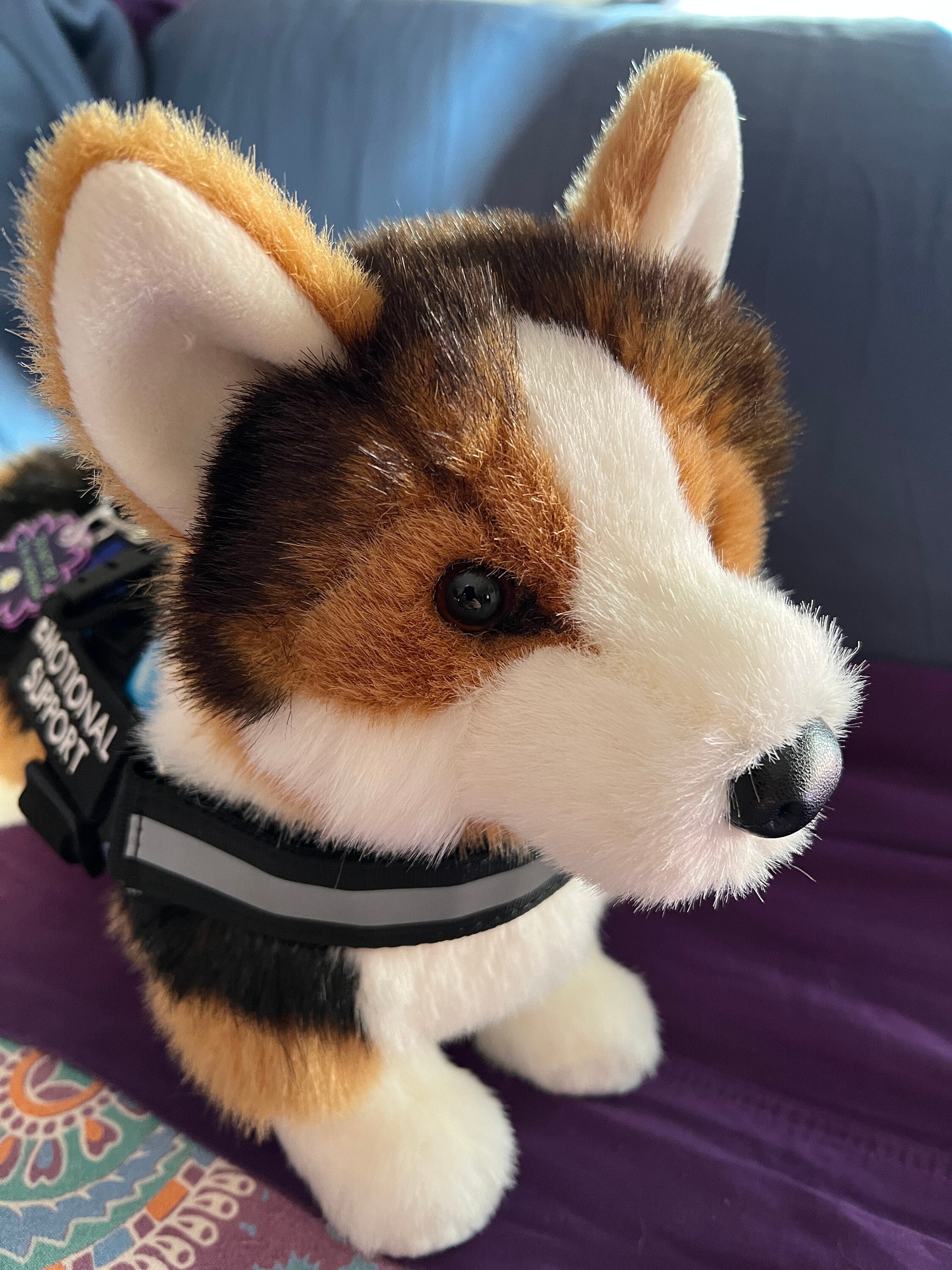 Douglas Pembroke Welsh Corgi Dog Plush Stuffed Animal 13