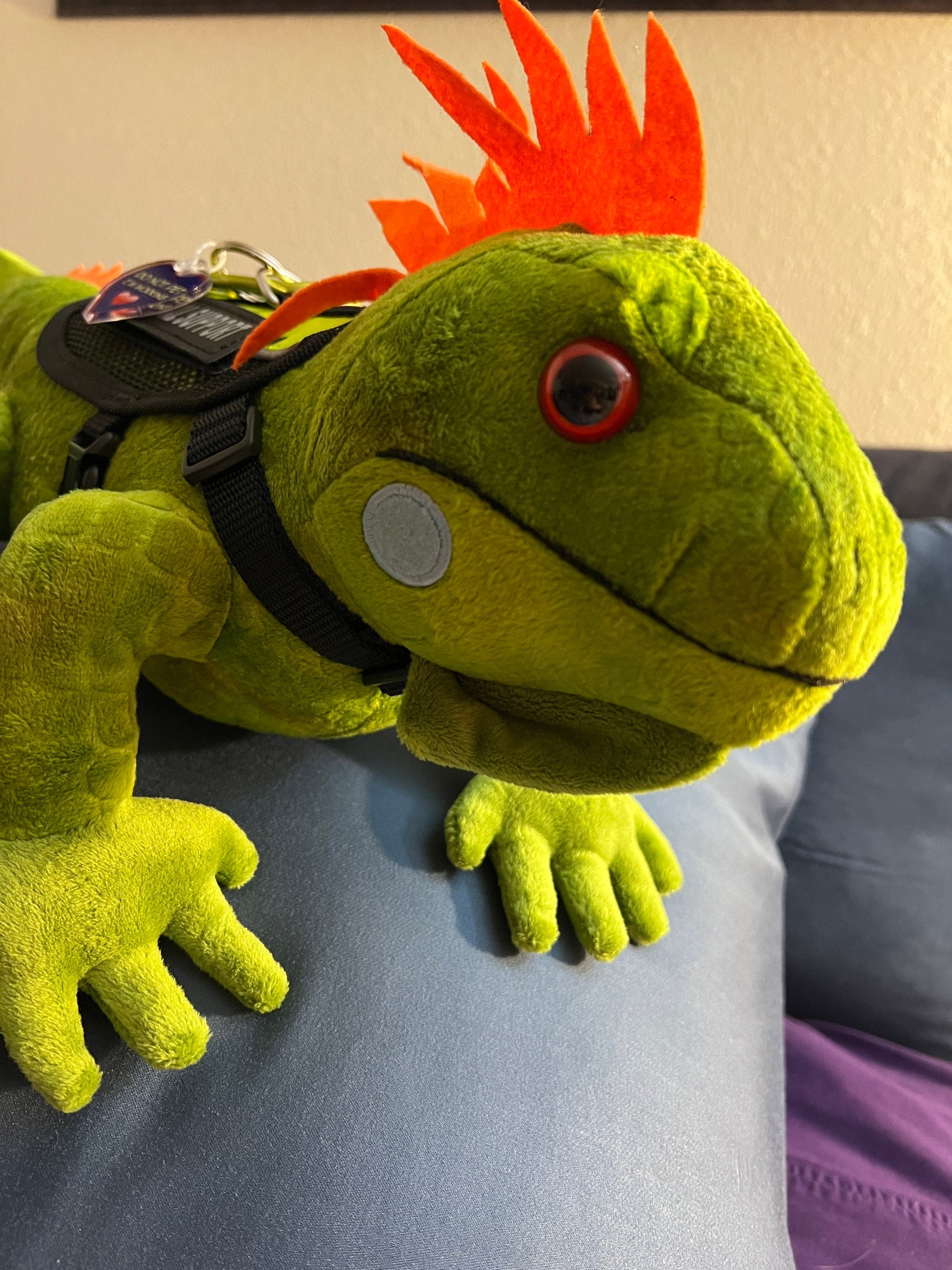 Buy Iguana Toy Online In India India