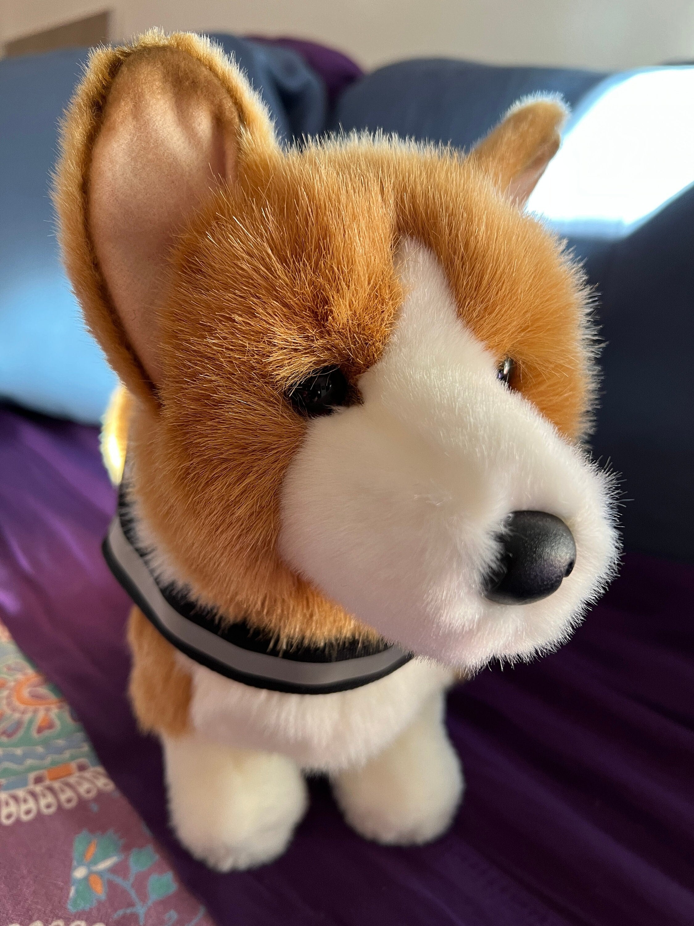 Emotional Support Corgi Dog Tan White Plush Stuffed Animal Personalized Gift Toy Etsy