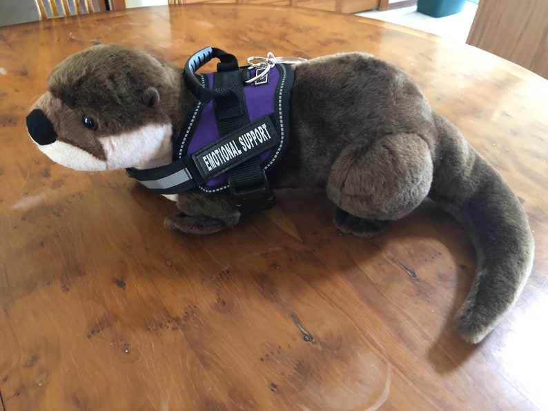 Emotional Support Otter Stuffed Animal Plushie Toy | Etsy