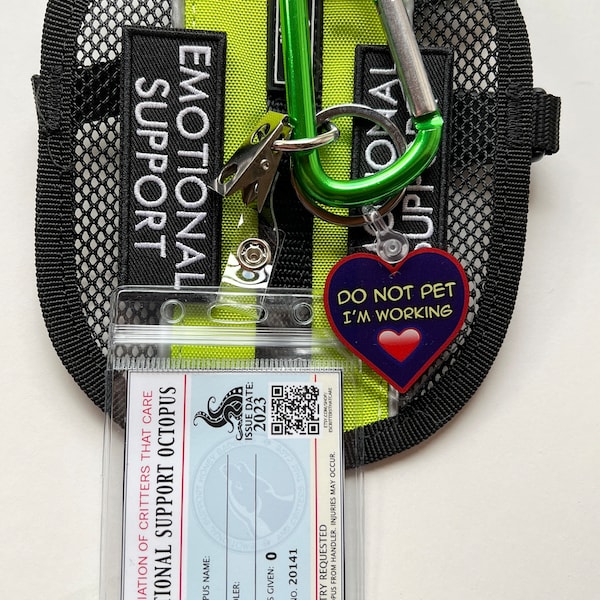 ESSA Harness with Carabiner Emotional Support Plush Make Your Own Stuffed Animal Plush Full Gear set up