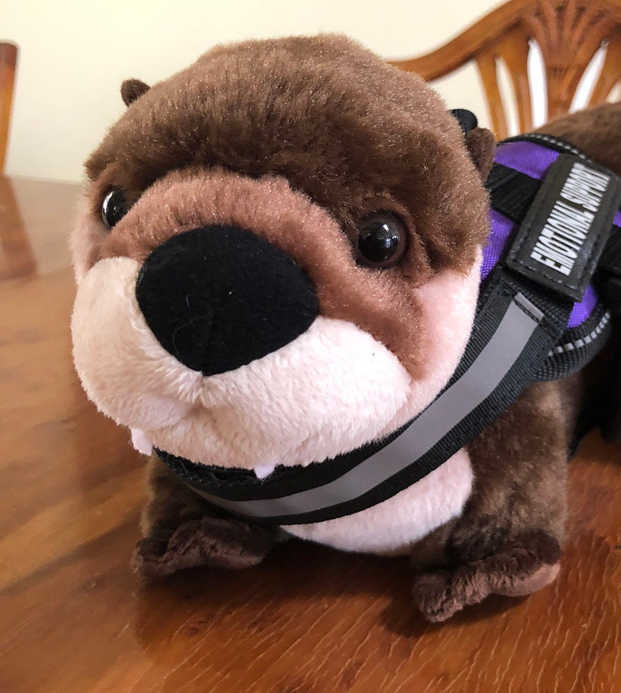 Emotional Support Otter Plush Stuffed Animal Personalized Gift Toy 