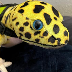 Puede incluir: Un juguete de peluche de gecko leopardo amarillo y negro con ojos azules. El gecko lleva un arnés negro con un clip verde.