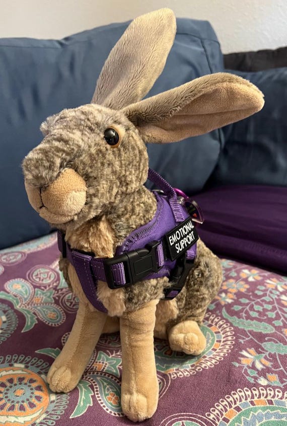 ESSA Jack Rabbit Bunny Emotional Support Plush Stuffed Animal