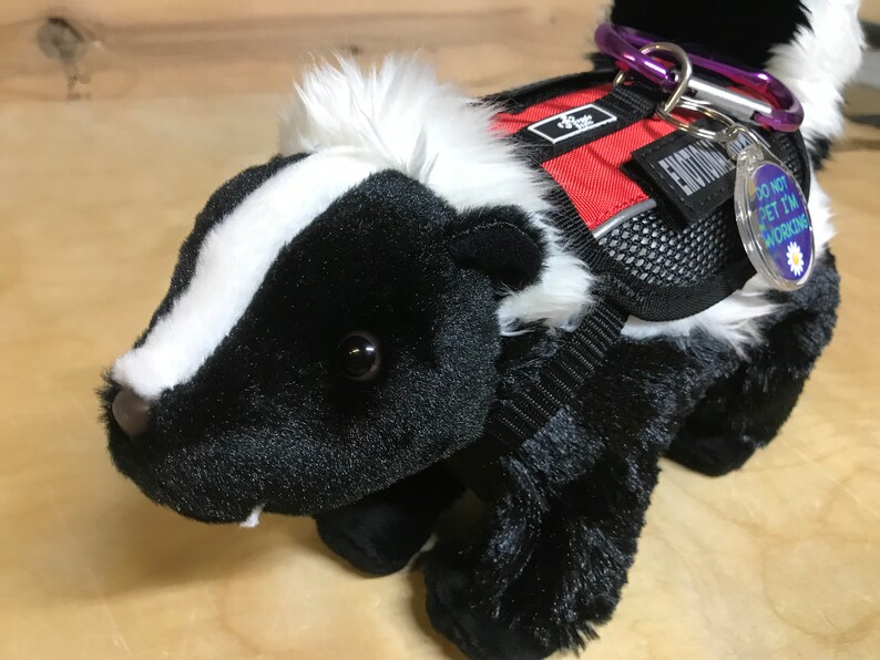 Emotional Support Skunk Stuffed Animal Plushie Toy | Etsy