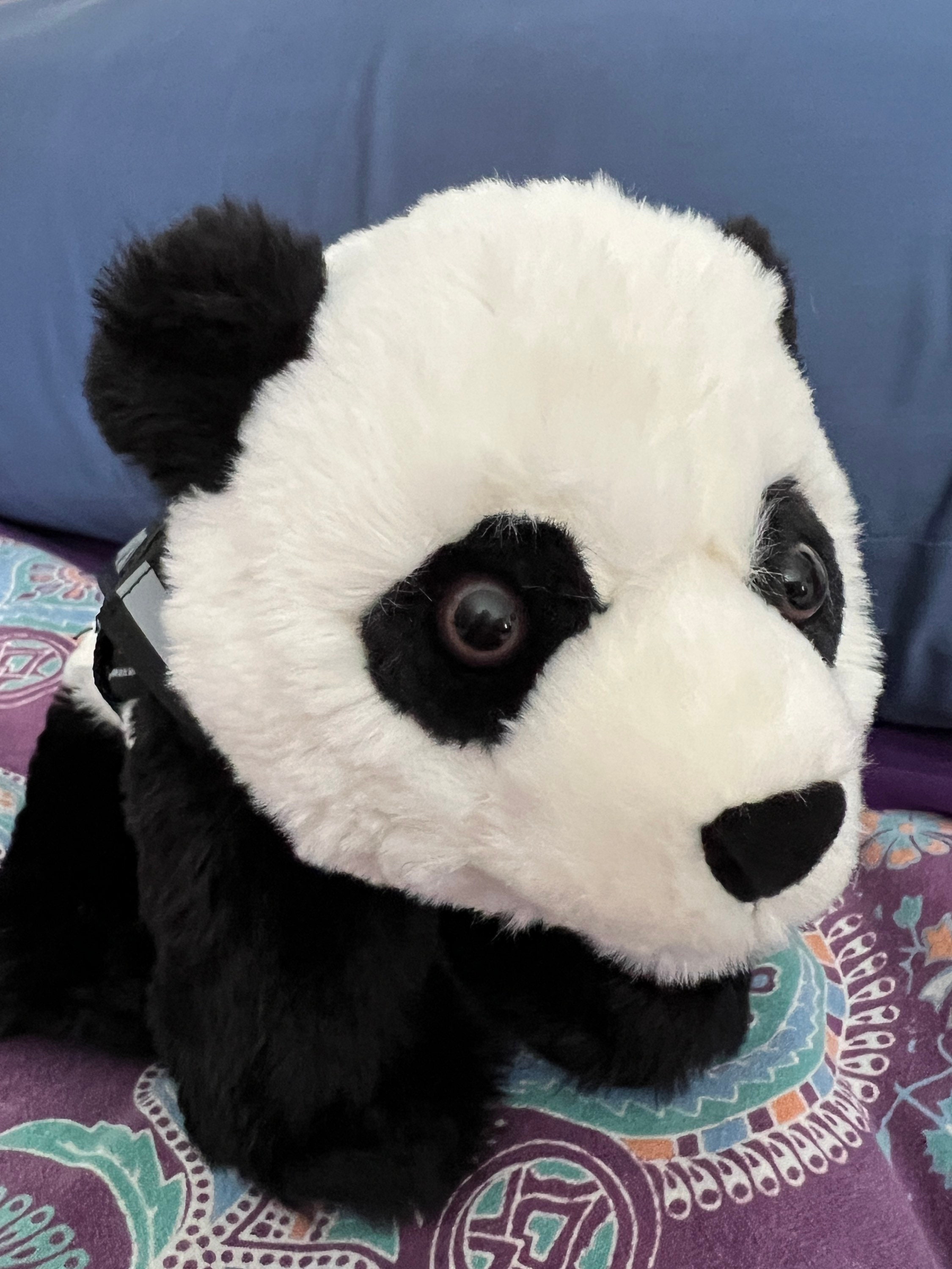 Soft Weighted Stuffed Animals 5lbs – 20 inches - Plush Weighted Stuffed  Panda