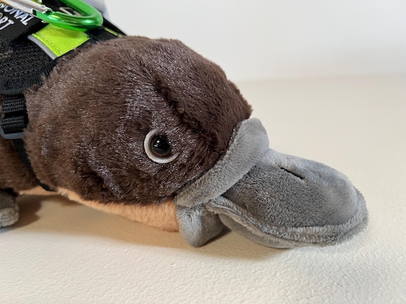 硬玉カモノハシ 硬玉カモノハシ 大きなカモノハシ Platypus FRPアートオブジェ【商品