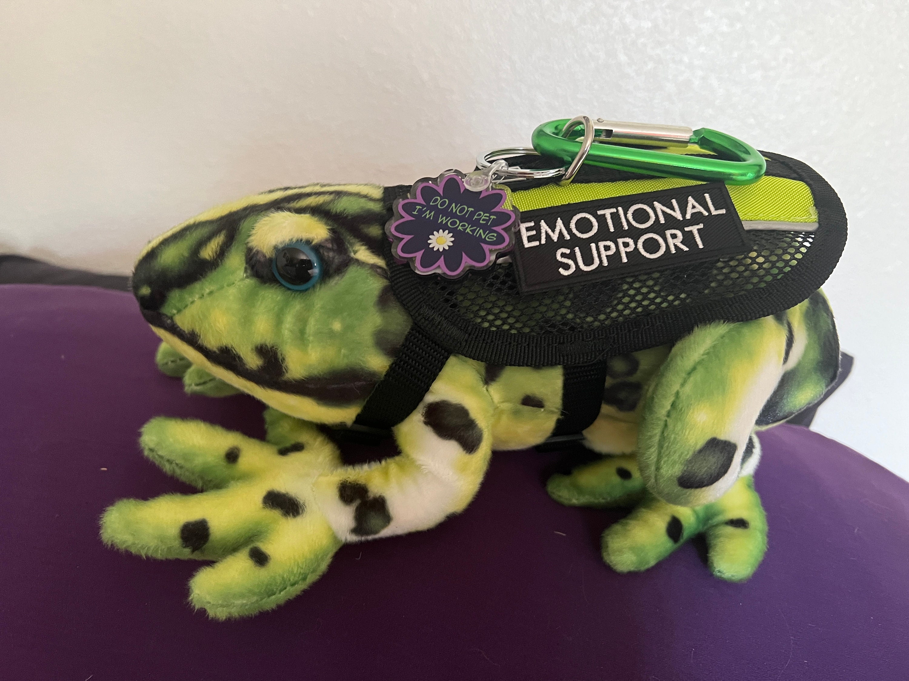 ESSA Frog Emotional Support Plush Stuffed Animal Personalized Gift Toy ...