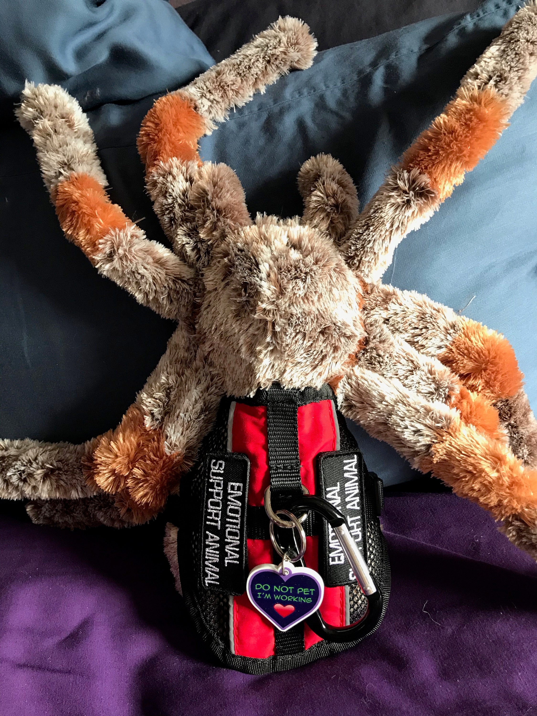 Weighted Spider Plush ubicaciondepersonas.cdmx.gob.mx