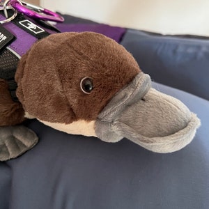 Emotional Support Platypus Plush Stuffed Animal Personalized Gift Toy