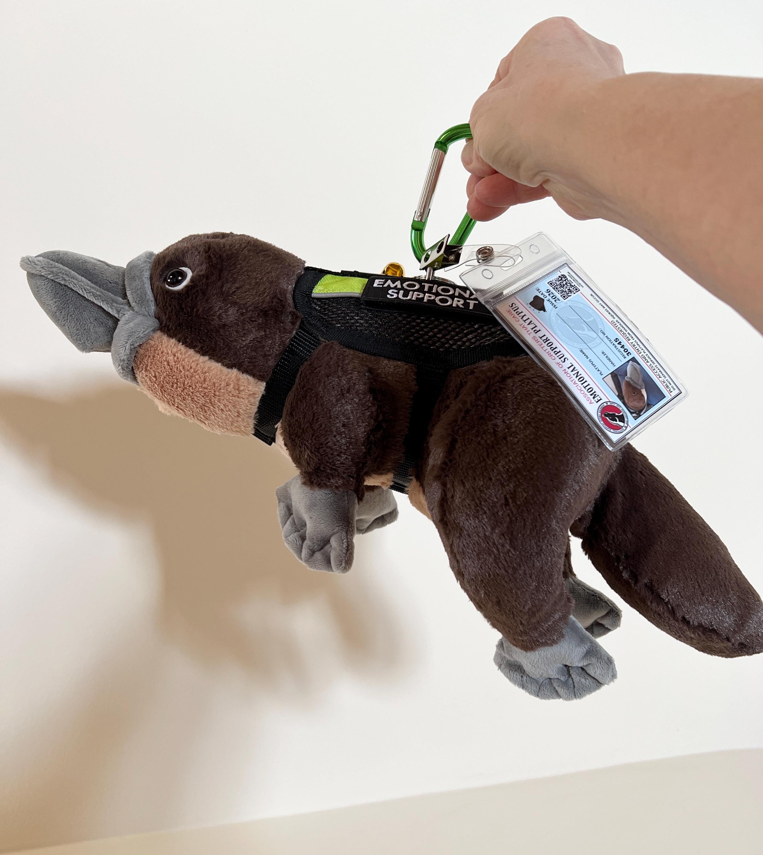 ESSA カモノハシ 感情サポート ぬいぐるみ パーソナライズギフト