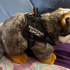 Może przedstawiać: Pluszowy szop pracz z szaro-czarnym futrem, ubrany w czarne szelki z białymi przeszyciami oraz naszywką z napisem EMOTIONAL SUPPORT białymi wielkimi literami. Szelki posiadają metalowe k&oacute;łko w kształcie litery D oraz uchwyt na g&oacute;rze.