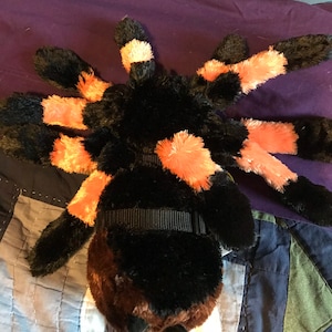May include: A plush toy spider with black and orange fur. The spider has eight legs and a brown body. The spider is wearing a black collar.