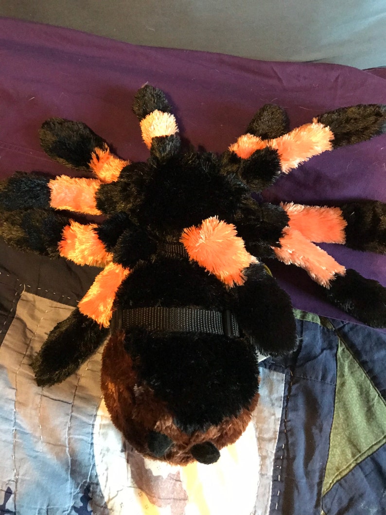 May include: A plush toy spider with black and orange fur. The spider has eight legs and a brown body. The spider is wearing a black collar.