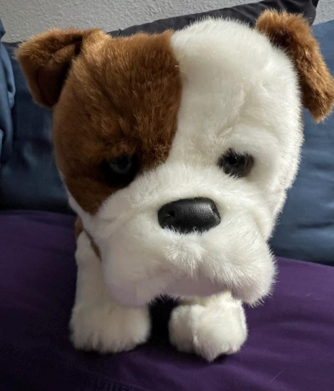 Essa Stuffed Dog ESSA Bull Dog Emotional Support Plush Stuffed Animal Personalized Gift ...