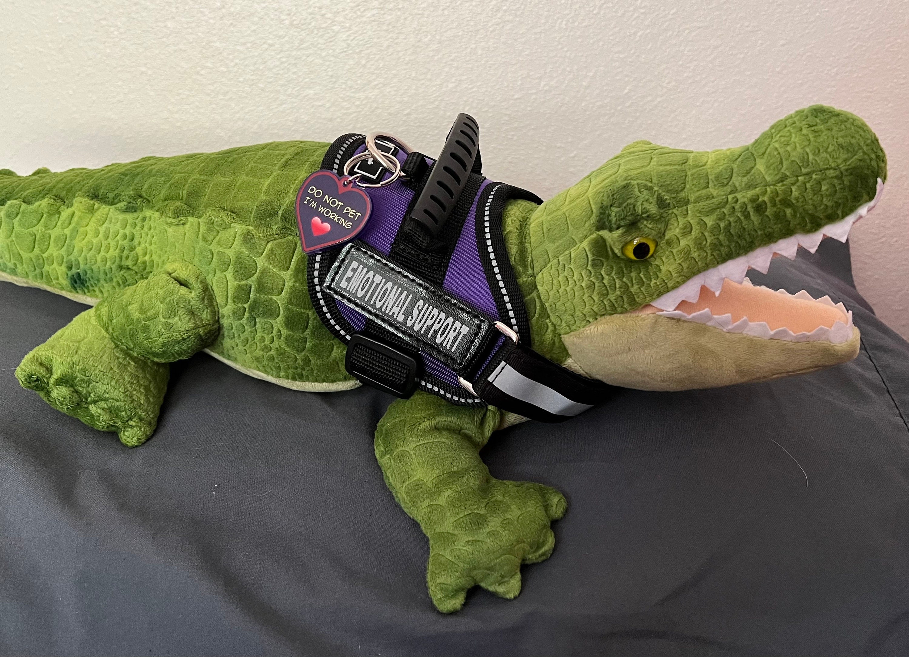 GJTIM Alligator Make-up-Tasche – 23x17 Cm, Segeltuch, 3D-Druck 'Alligators Are My Spirit'