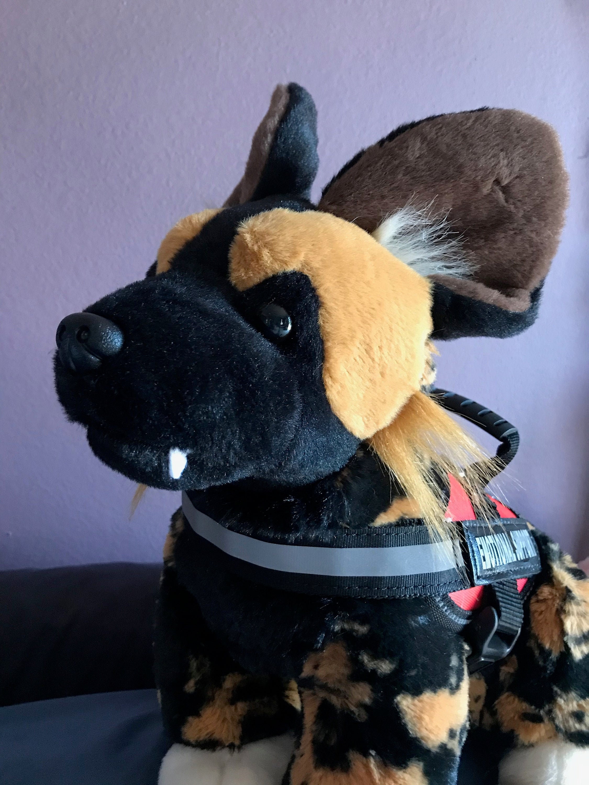 wild dog plush