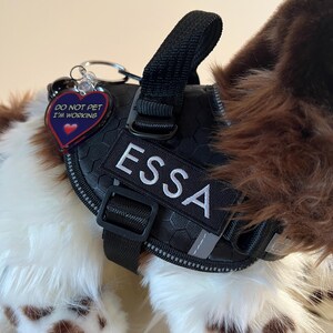 Essa Patch ESSA Embroidered Printed Harness Patches Emotional Support Plush Make ...