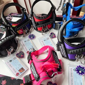 May include: Five different dog harnesses with the text "Emotional Support" on them. Each harness is a different color: black, red, blue, purple, and pink. Each harness has a tag attached to it with the text "Do Not Pet I'm Working" or "Emotional Support Animal".