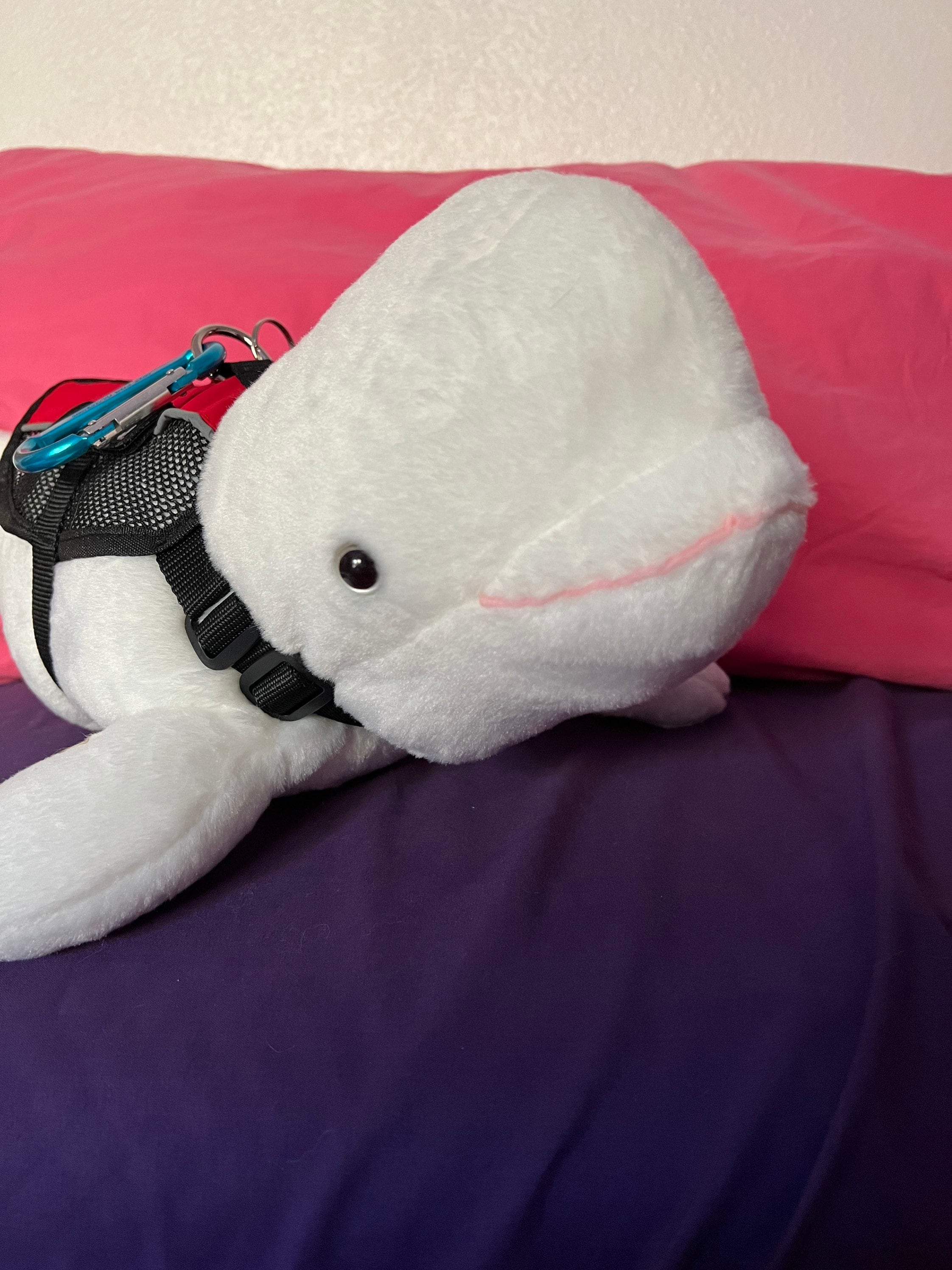 Stuffed Beluga Whale - Etsy Stuffed Beluga Whale - Etsy