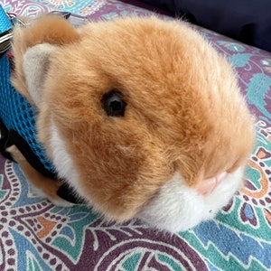 Emotional Support Golden Hamster Plush Stuffed Animal Personalized Gift Toy