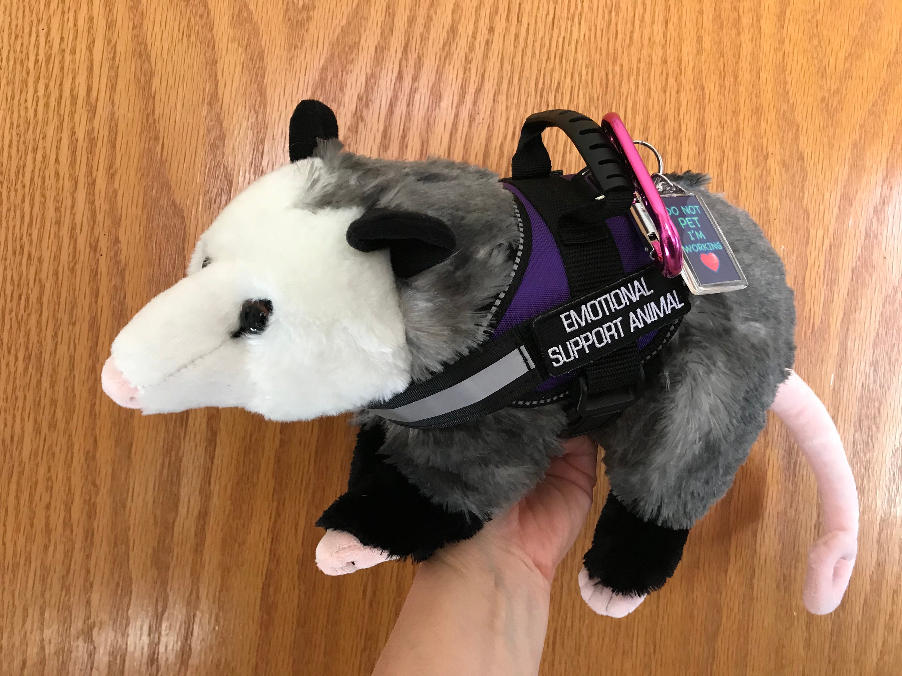 real stuffed opossum