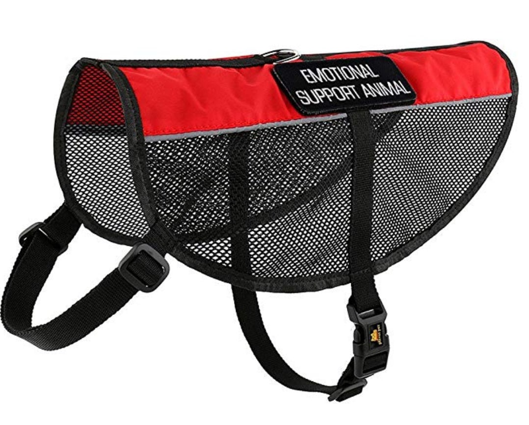 emotional support harness