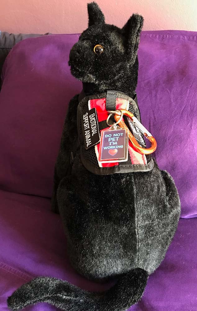 HEMOTON Schwarze Plüschkatze – Realistisches Kuscheltier, 30 Cm, Perfekt Für Halloween-Deko