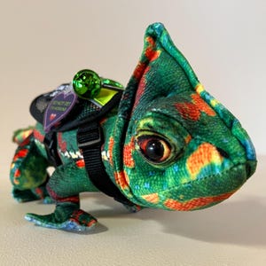 Könnte beinhalten: Ein Plüsch-Chamäleon-Spielzeug mit detailliertem grünem, orangefarbenem und gelbem Muster. Es hat ein schwarzes Geschirr mit einer kleinen Glocke und einem Anhänger mit der Aufschrift "DO NOT PET THE HOBBIES".