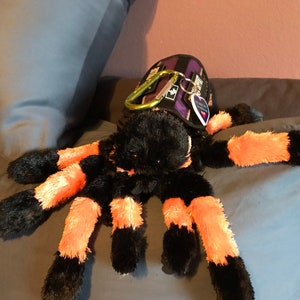 May include: A black and orange plush spider toy with a purple and black harness. The harness has a green carabiner clip and a purple heart-shaped tag.