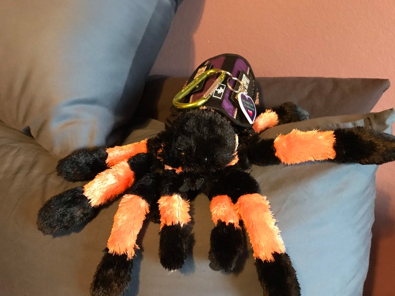 May include: A black and orange plush spider toy with a purple and black harness. The harness has a green carabiner clip and a purple heart-shaped tag.