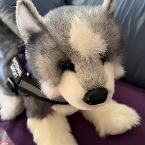 Op de afbeelding: Een pluche husky hond met grijs en wit bont, zwarte ogen en een zwarte neus. Het speelgoed draagt een zwart tuigje met een reflecterende grijze streep en een rechthoekige patch met de witte tekst EMOTIONAL SUPPORT in hoofdletters gedrukt.