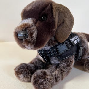 Pode incluir: Um brinquedo de pelúcia de cachorro marrom e branco com uma coleira preta. A coleira tem as palavras "EMOTIONAL SUPPORT" em texto branco. O cachorro tem um nariz preto e está deitado.