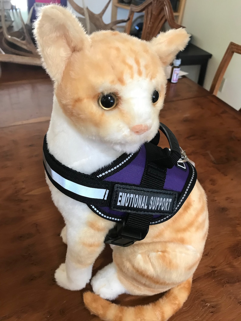 I Tested The Power Of An Emotional Support Stuffed Animal: Here's What