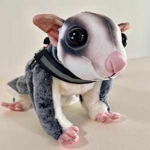 May include: A plush sugar glider toy featuring soft grey and white fur, large black eyes, and a pink nose. The toy is wearing a black harness with a reflective grey strip across the chest, designed with adjustable straps and a plastic buckle.