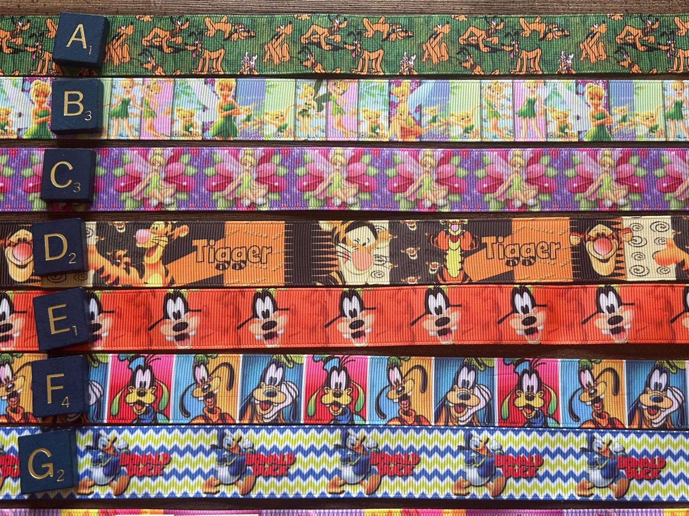 Lanyard & Badge Set WDW Walt Disney World, Disneyland Vacation