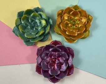3D Printed Succulents (3 pack: pin, magnet or no backing)
