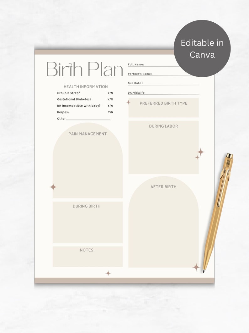 Birth Plan Templatebirth Planbirth Plan Template Editablevisual Birth ...