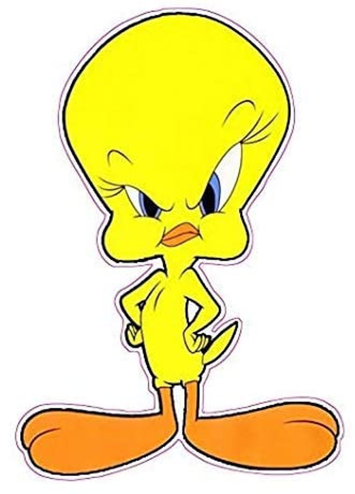 Tweety Bird Not Happy Sticker Decal Die Cut Sticker Graphic - Etsy